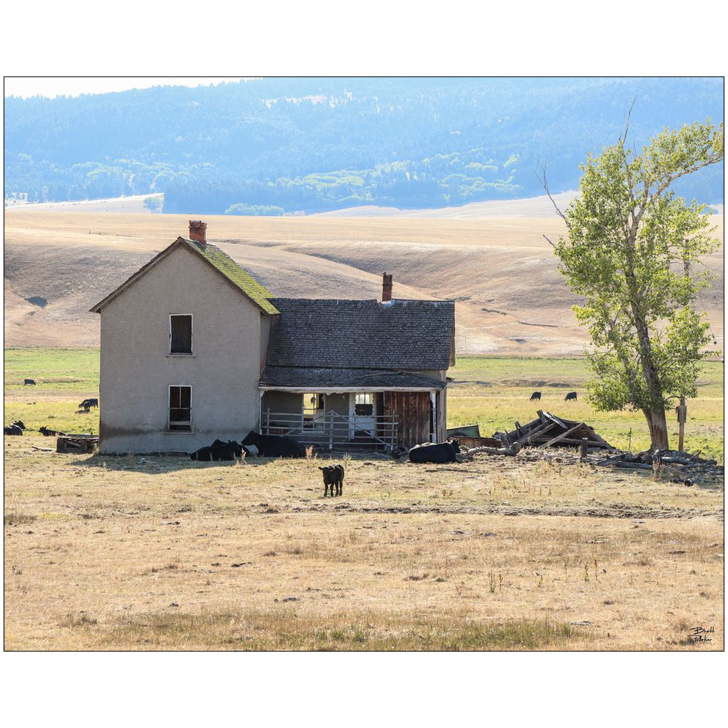 Home On The Range - Highway 141, Montana - bp0219 - Photograph Print Poster Picture Photography Images Landscape Art Artist