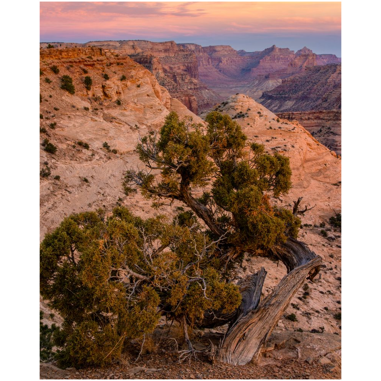 Little Grand Canyon Overlook Sunset - San Rafael, Utah - bp0204 - Photograph Print Poster Picture Photography Images Landscape Art Artist