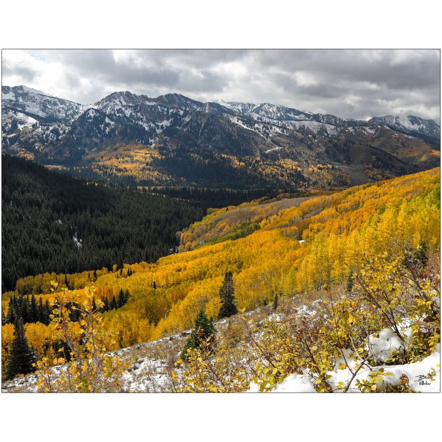 Autumn Colors and Snow in Mill F - Big Cottonwood Canyon, Utah - bp0187 - Photograph Print Poster Picture Photography Landscape Artist Art