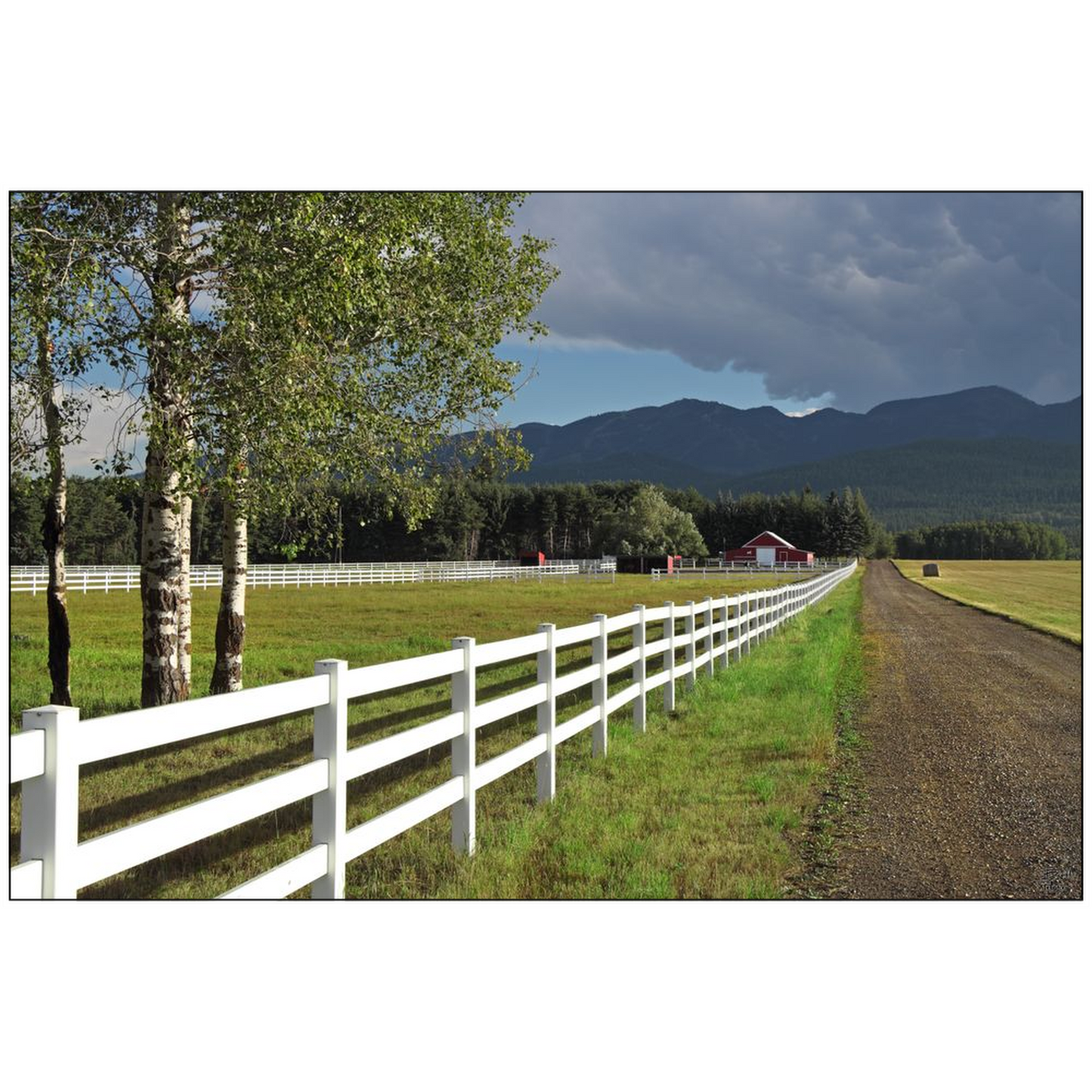 Edgewood Farm - Whitefish, Montana - bp0185 - Photograph Print Poster Picture Photography Landscape Artist Art Images