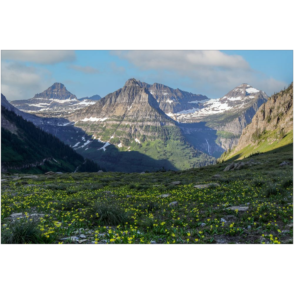 Glacier National Park Highline Trail View - Montana - bp0211 - Photograph Print Poster Picture Wall Photography Art Artist Images Landscape