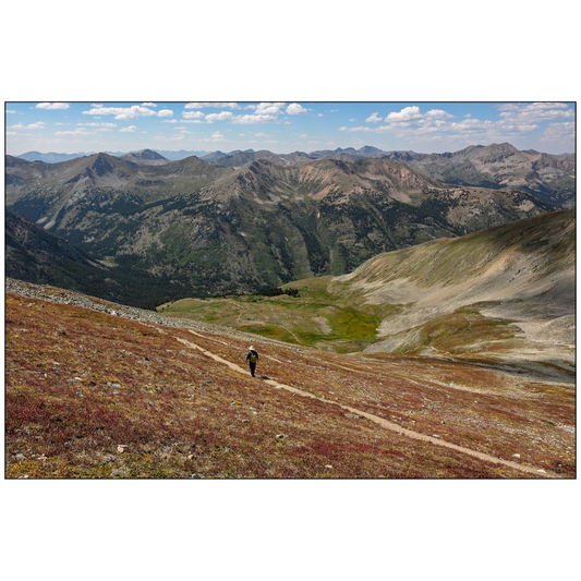 Colorado Hiker - Huron Peak - Buena Vista, Colorado - bp0180 - Photograph Print Poster Picture Photography Landscape Artist Art Images