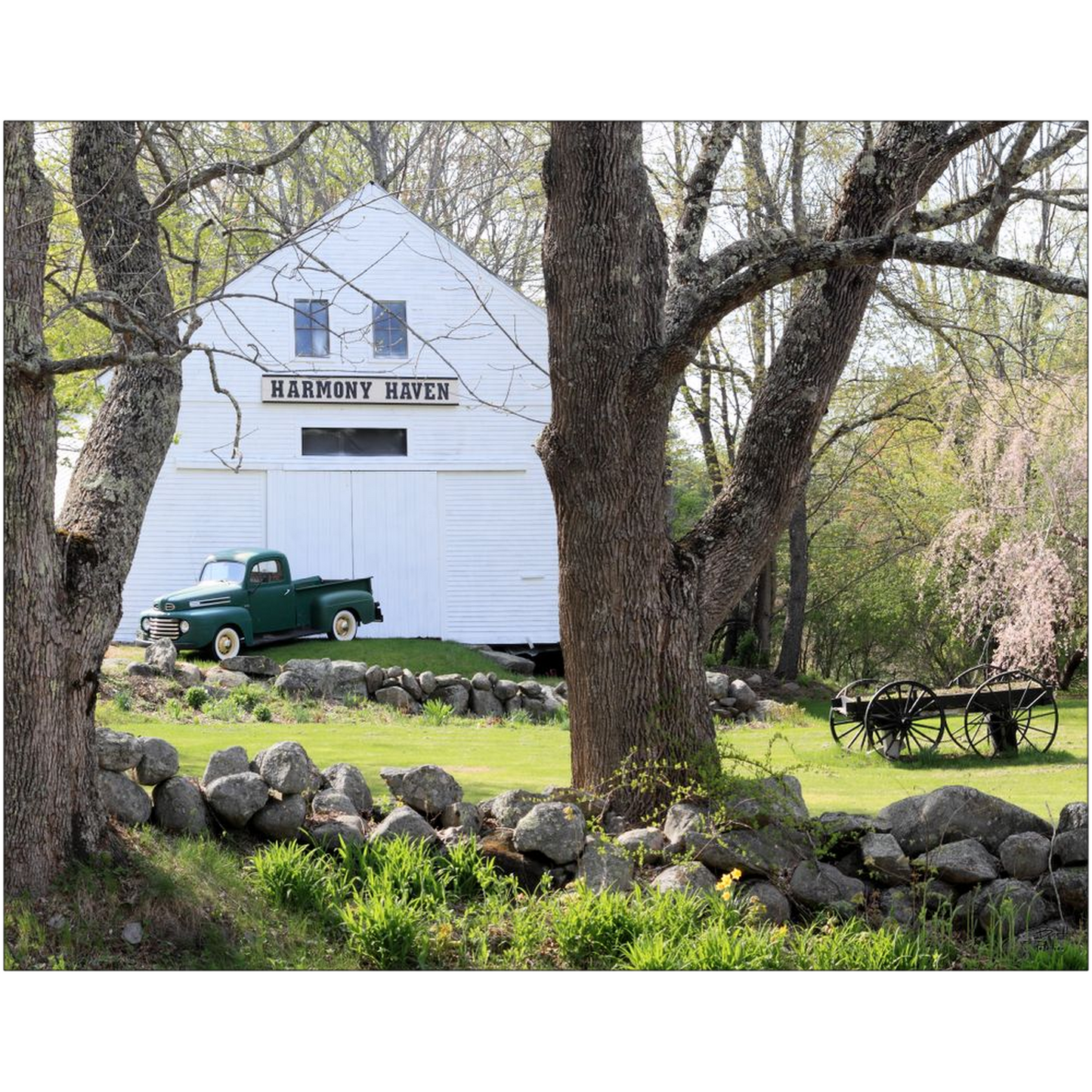 Harmony Haven with 1948 Ford F1 - Nottingham, New Hampshire - bp0043 - Photograph Print Poster Picture Photography Art Artist Landscape