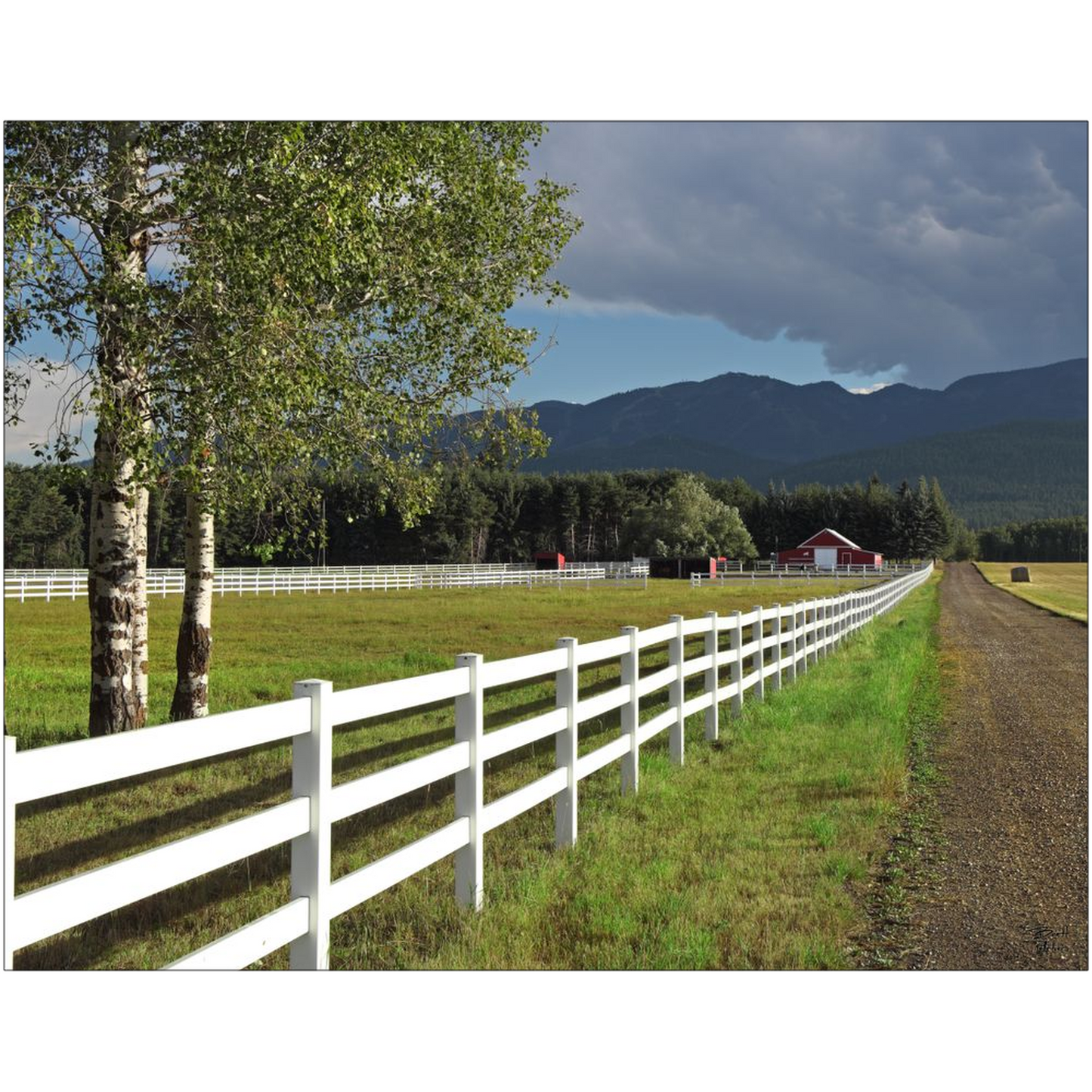 Edgewood Farm - Whitefish, Montana - bp0185 - Photograph Print Poster Picture Photography Landscape Artist Art Images