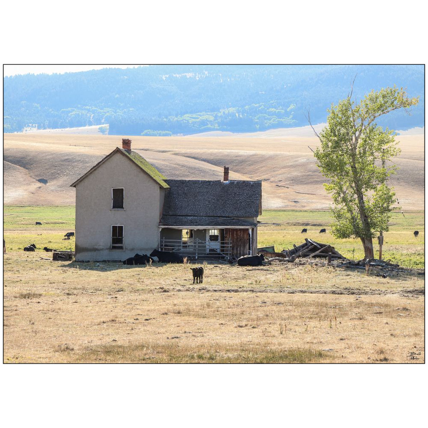 Home On The Range - Highway 141, Montana - bp0219 - Photograph Print Poster Picture Photography Images Landscape Art Artist