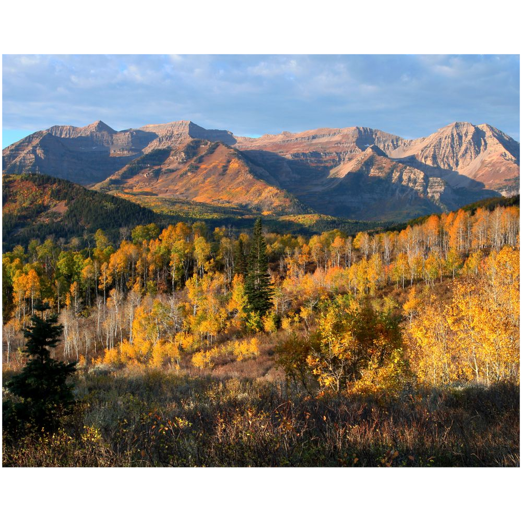 Timpanogos Autumn Sunrise - Wasatch Mountains, Utah - bp0004 - Photograph Print Poster Picture Photography Art Artist Images Landscape