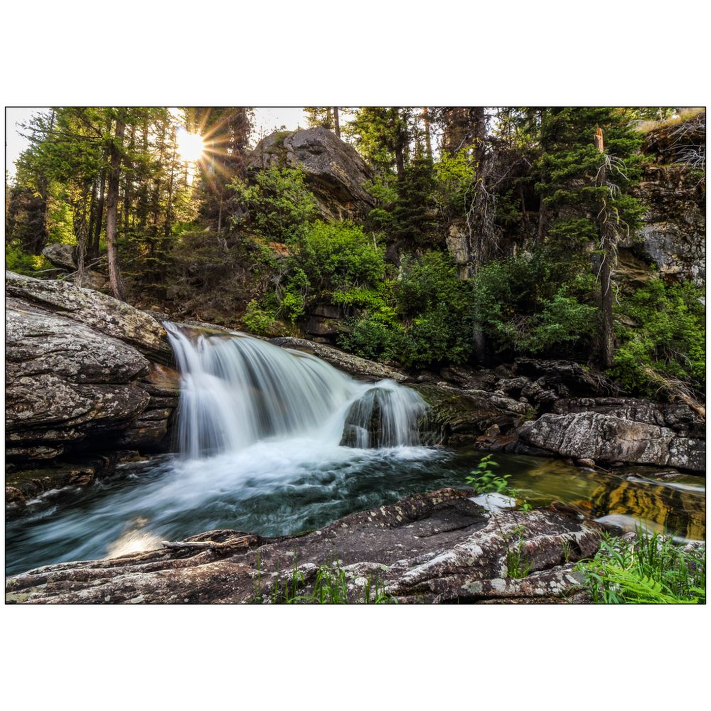 Tin Cup Creek Falls #1 - Bitterroot Mountains, Montana - bp0042 - Photograph Print Poster Picture Photography Art Artist Images Landscape