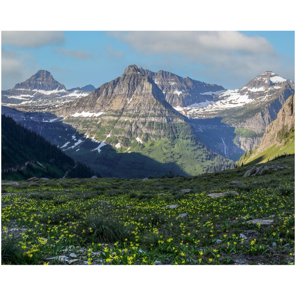 Glacier National Park Highline Trail View - Montana - bp0211 - Photograph Print Poster Picture Wall Photography Art Artist Images Landscape