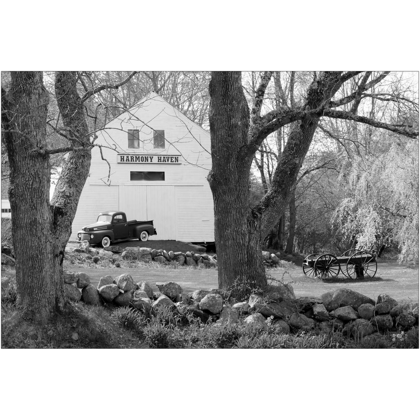 Harmony Haven with 1948 Ford F1 - Nottingham, New Hampshire - bp0043bw - Photograph Print Poster Picture Photography Art Artist Landscape