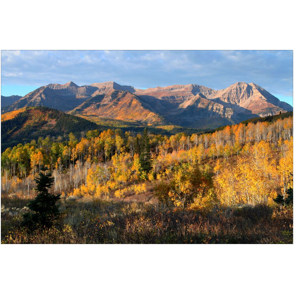 Timpanogos Autumn Sunrise - Wasatch Mountains, Utah - bp0004 - Photograph Print Poster Picture Photography Art Artist Images Landscape