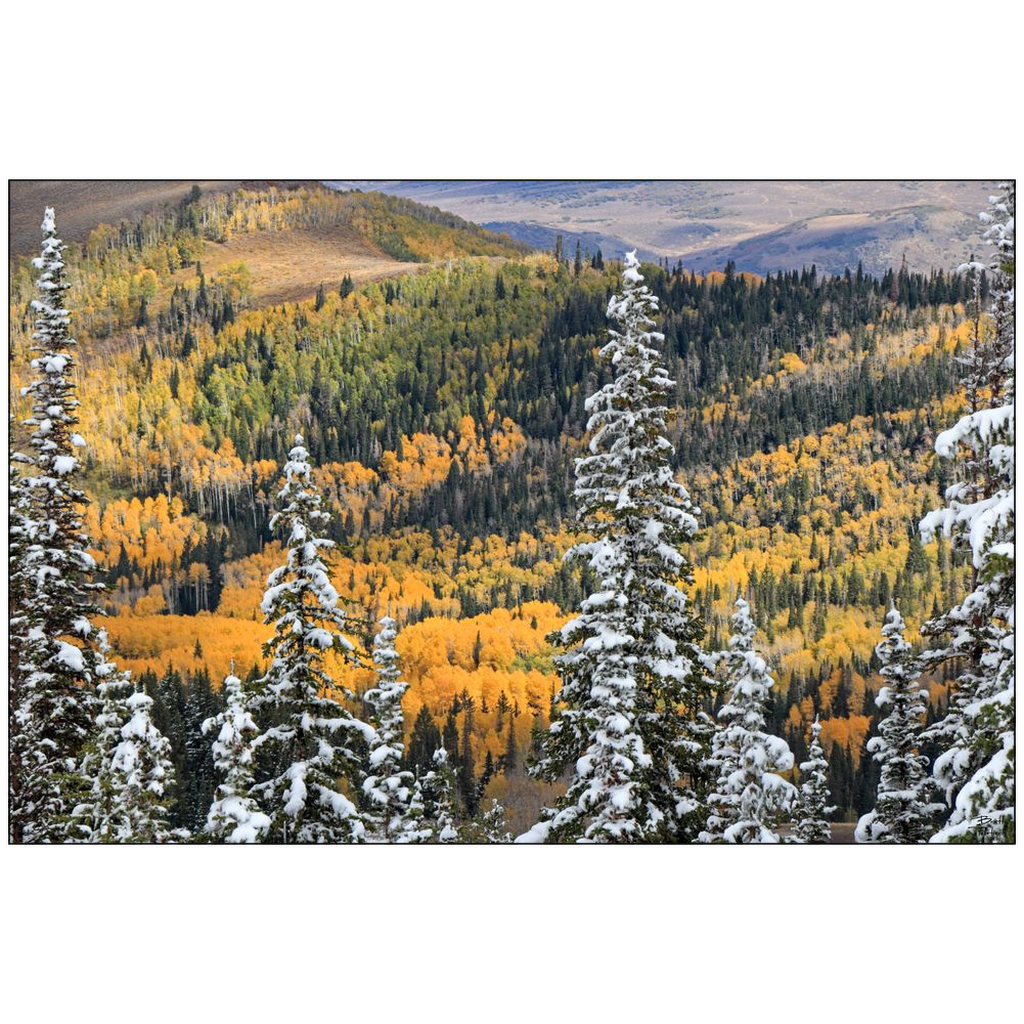 Park City Fall Color Early Snow - Wasatch Mountains, Utah - bp0191 - Photograph Print Poster Picture Wall Photography Art Artist Landscape