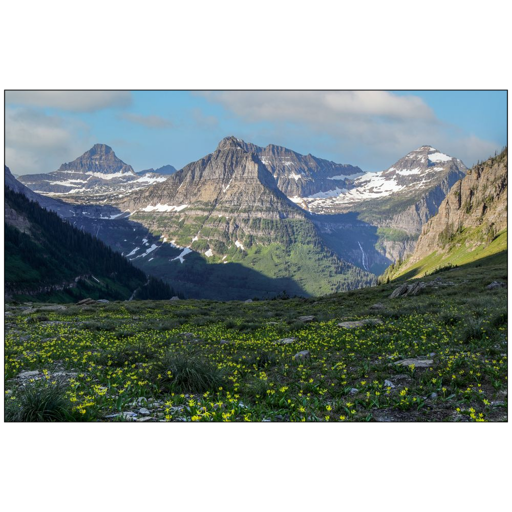 Glacier National Park Highline Trail View - Montana - bp0211 - Photograph Print Poster Picture Wall Photography Art Artist Images Landscape