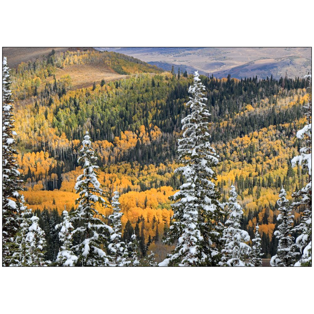 Park City Fall Color Early Snow - Wasatch Mountains, Utah - bp0191 - Photograph Print Poster Picture Wall Photography Art Artist Landscape