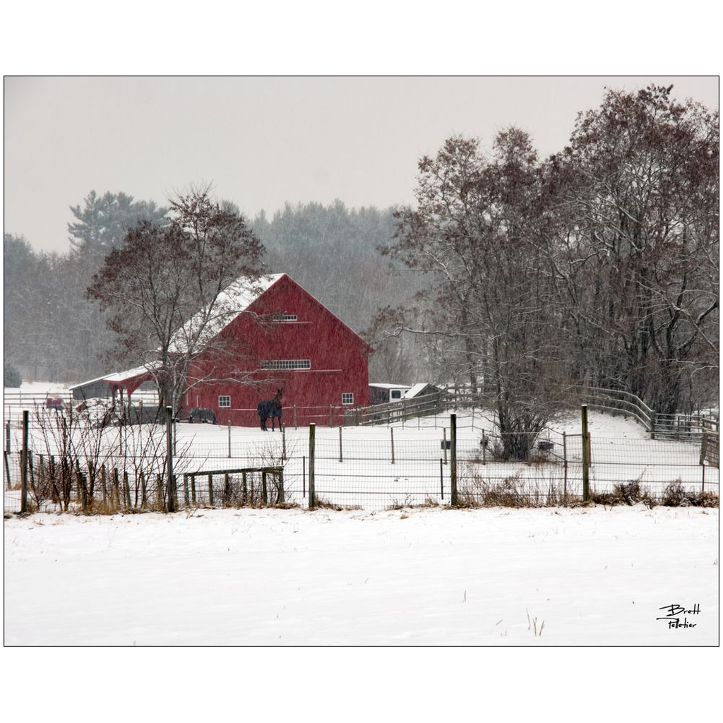 Little Red Barn - Lee, New Hampshire - bp0059 - Photograph Print Poster Picture Photography Art Artist Images Camera Collectibles Landscape