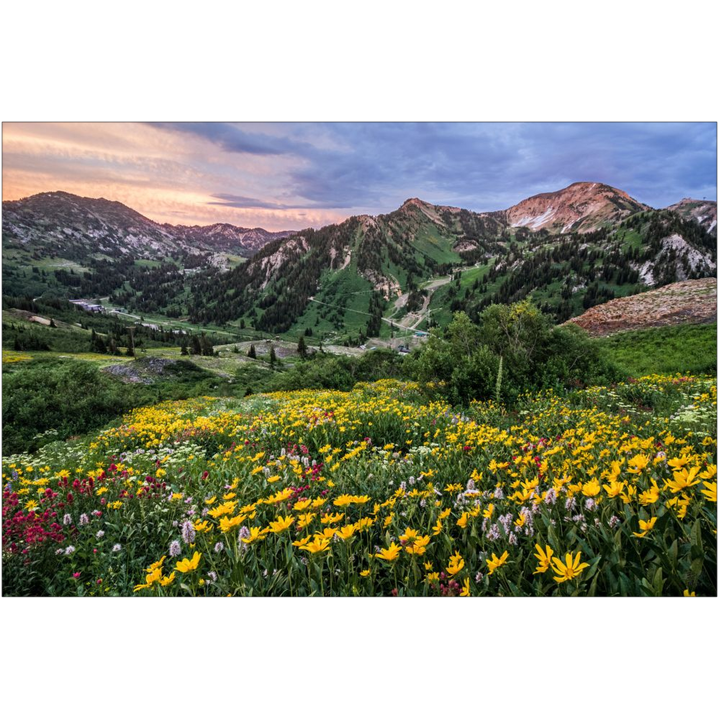 Storms Sunsets and Wildflowers - Alta, Utah - bp0005 - Photograph Print Poster Picture Landscape Photography Art Artist