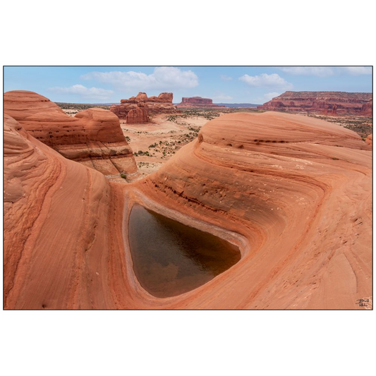 Delta Pool - Moab, Utah - bp0248 - Photograph Print Poster Picture Wall Photography Art Artist Images Camera Collectibles Landscape