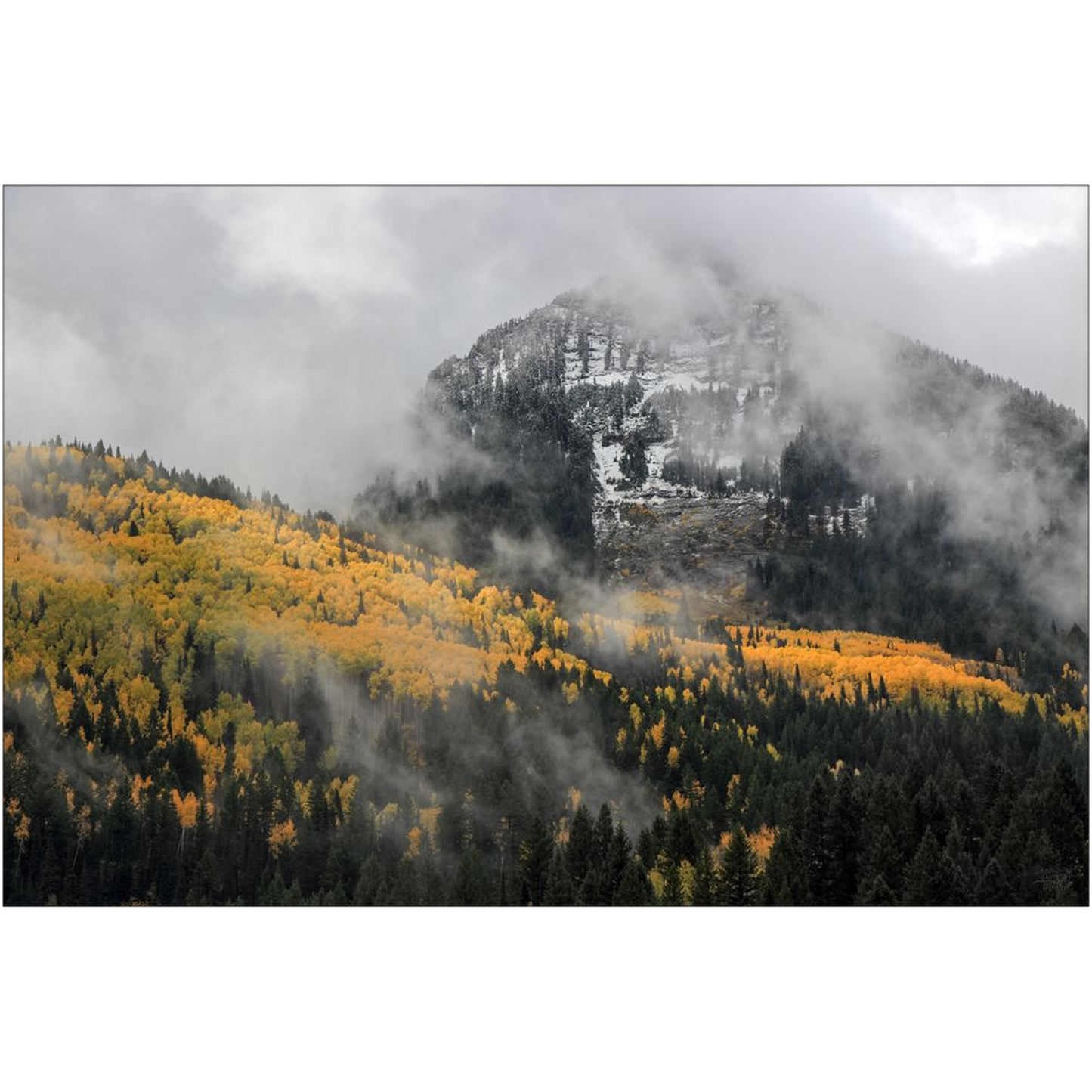 Kessler Peak Aspen Color with Fog and Snow - Big Cottonwood Canyon, Utah - bp0192 - Photograph Print Poster Picture Photography Landscape