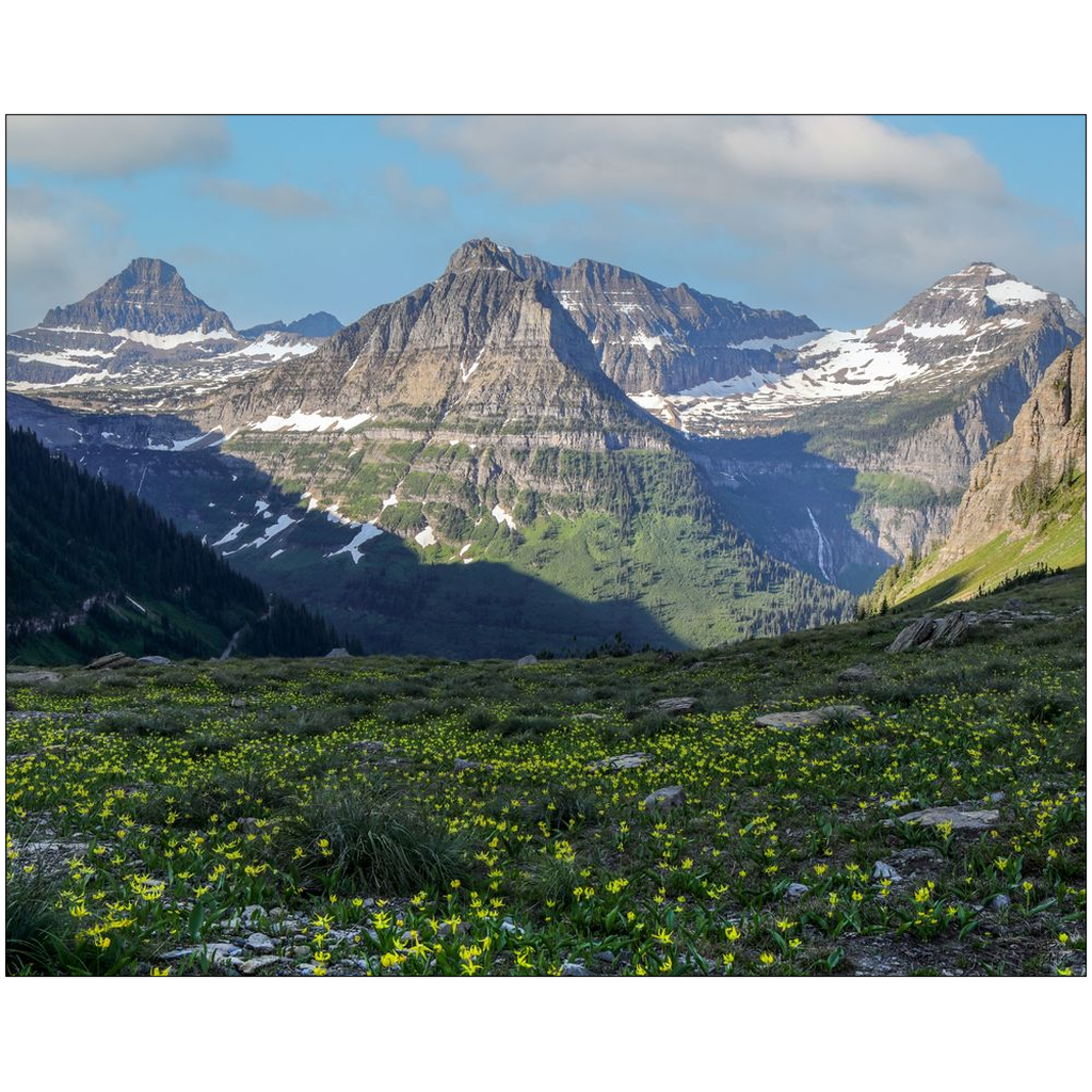 Glacier National Park Highline Trail View - Montana - bp0211 - Photograph Print Poster Picture Wall Photography Art Artist Images Landscape